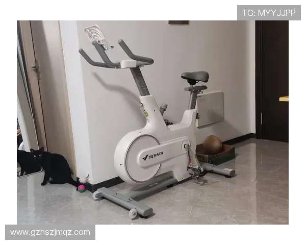 预算有限如何构建最实用的家庭健身器材库