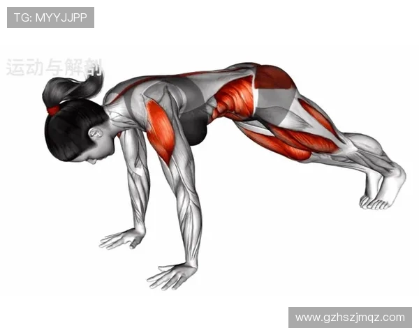 高拉力训练器的训练技巧与全身肌肉塑形