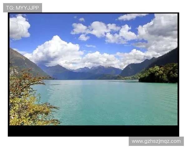 世俱杯对全球足球文化与社会影响力研究报告