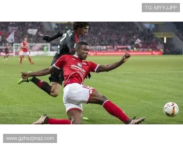 弗赖堡作为德甲中游球队的稳定表现分析 弗赖堡作为德甲中游球队的稳定表现分析