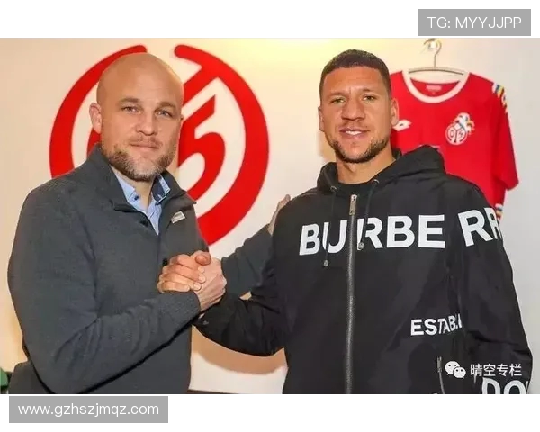 德甲各大球队在夏窗期的转会动态汇总