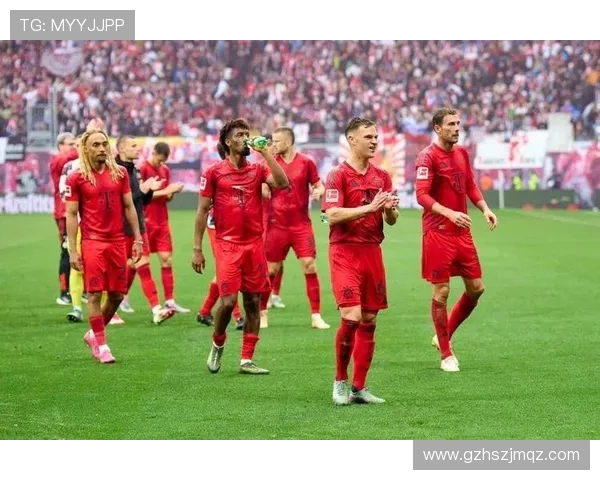 德甲球队参加欧冠资格及赛场表现解析