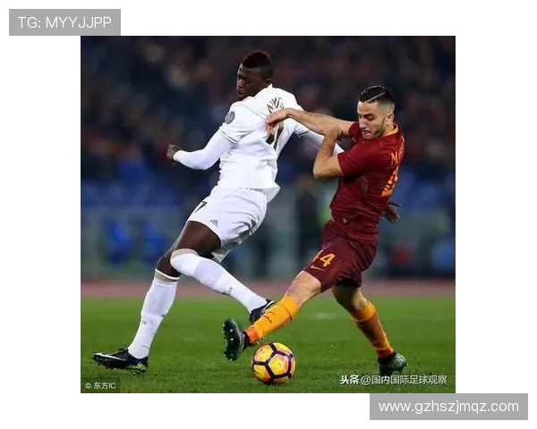 法甲外援签约情况深度分析：潜力型与即战力的分布对照